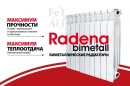 Радиатор биметаллический RADENA BIMETALL CS 500 10 секций